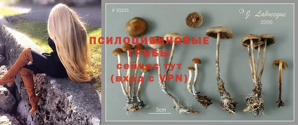стафф Абинск