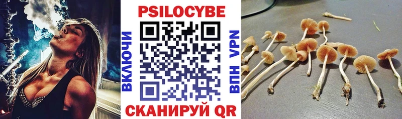 Галлюциногенные грибы Psilocybine cubensis  как найти закладки  ссылка на мегу ссылки  Южа 