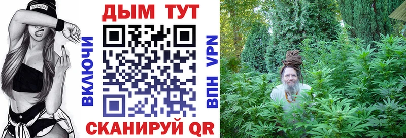 МАРИХУАНА план  купить   Южа 